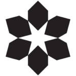 cropped SCL snowflake black