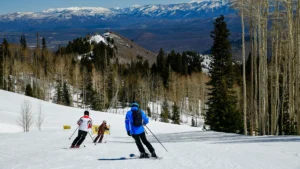 Skiers heading downhill on a snowy run surrounded by pine trees.
