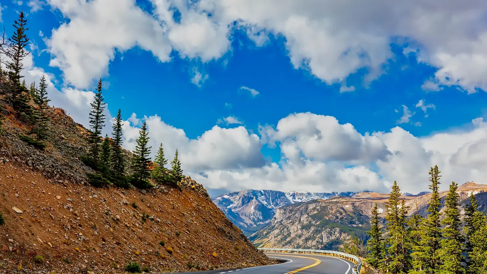 Curving Beartooth Highway in the mountains with pines, blue skies, and fluffy clouds