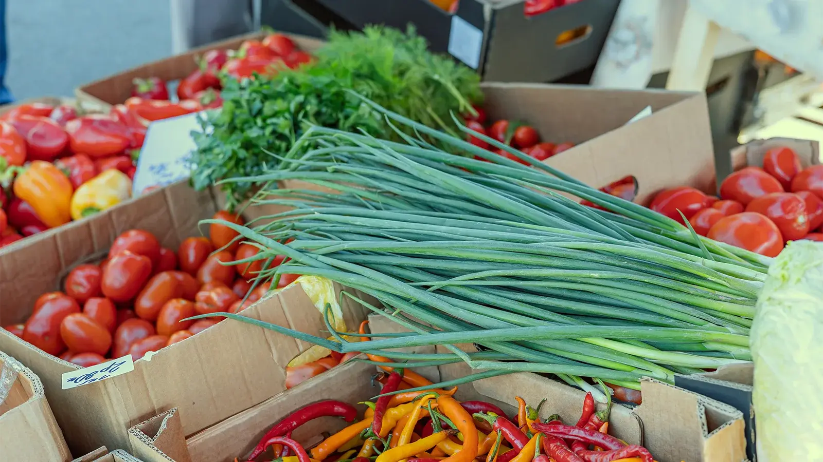 array of vegetables on display outdoors, which can be found at Park city June events such as the Park Silly Sunday Market