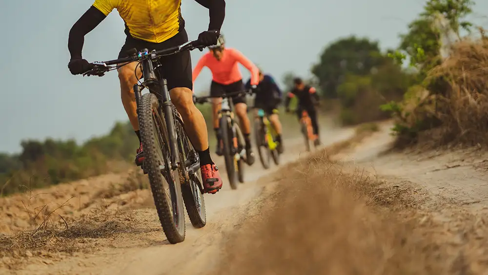 Group of cyclists on a rural and forest roads.